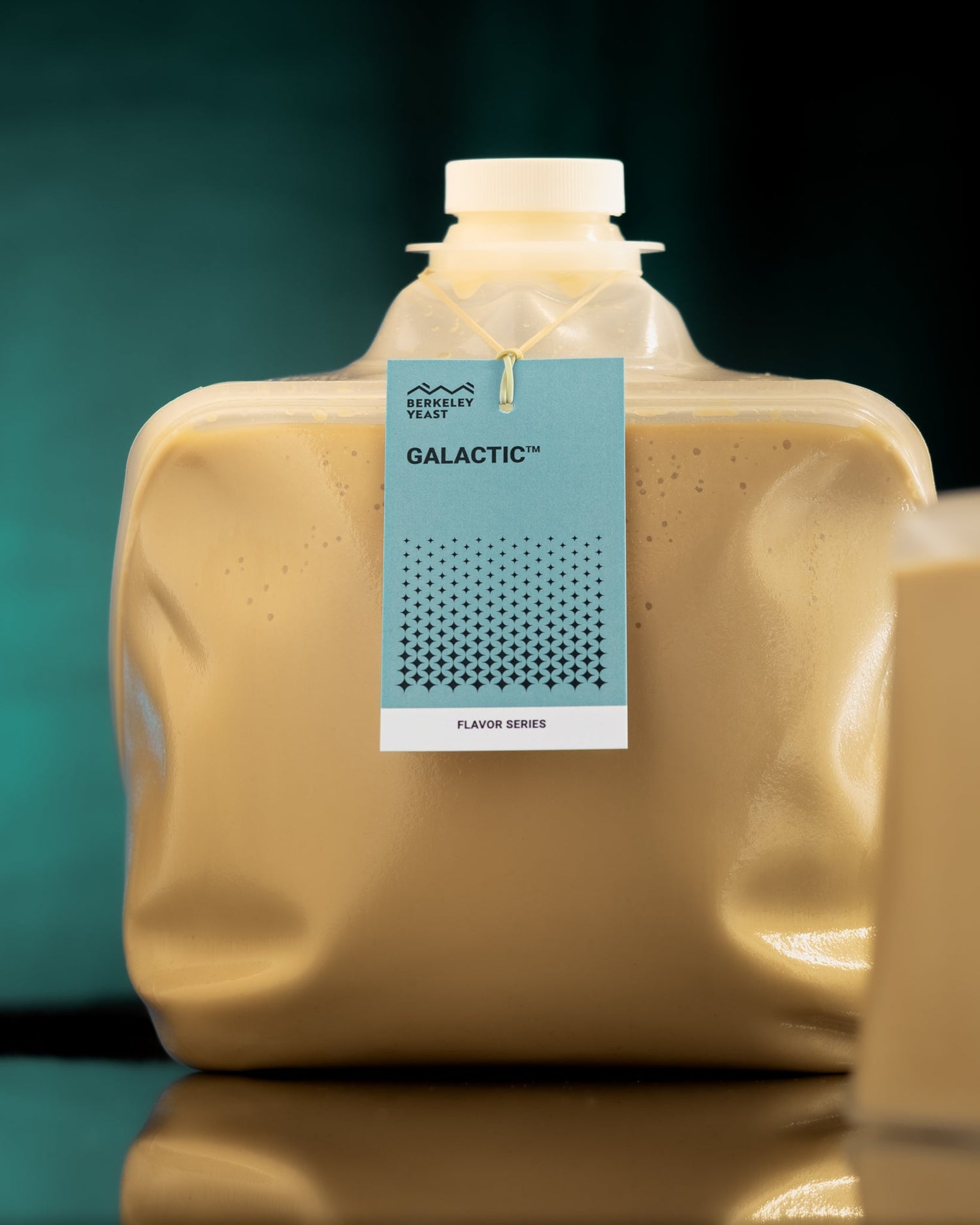 Best Practices: GALACTIC™