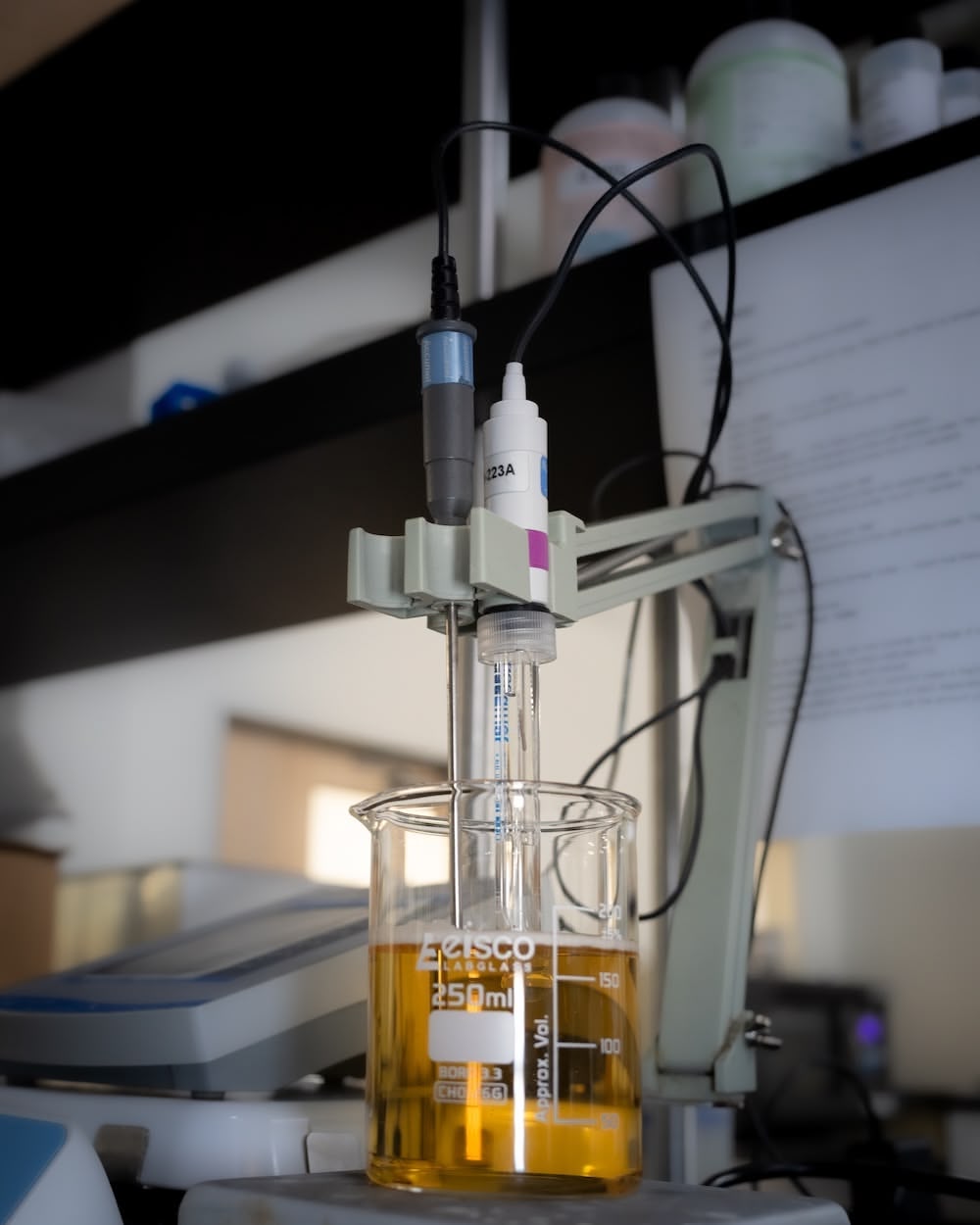 Make Safe Non-Alcoholic Beer by Berkeley Yeast