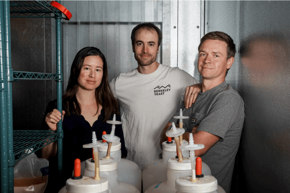 The secret behind the Bay Area’s most popular tropical beers: GMO yeast | San Francisco Chronicle
