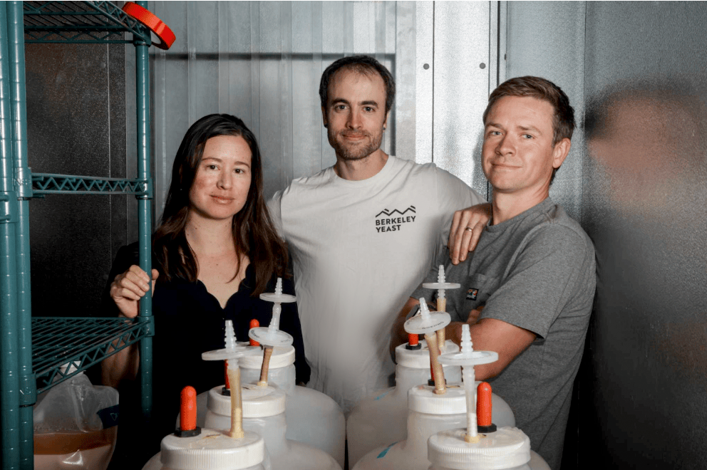 The secret behind the Bay Area’s most popular tropical beers: GMO yeast | San Francisco Chronicle