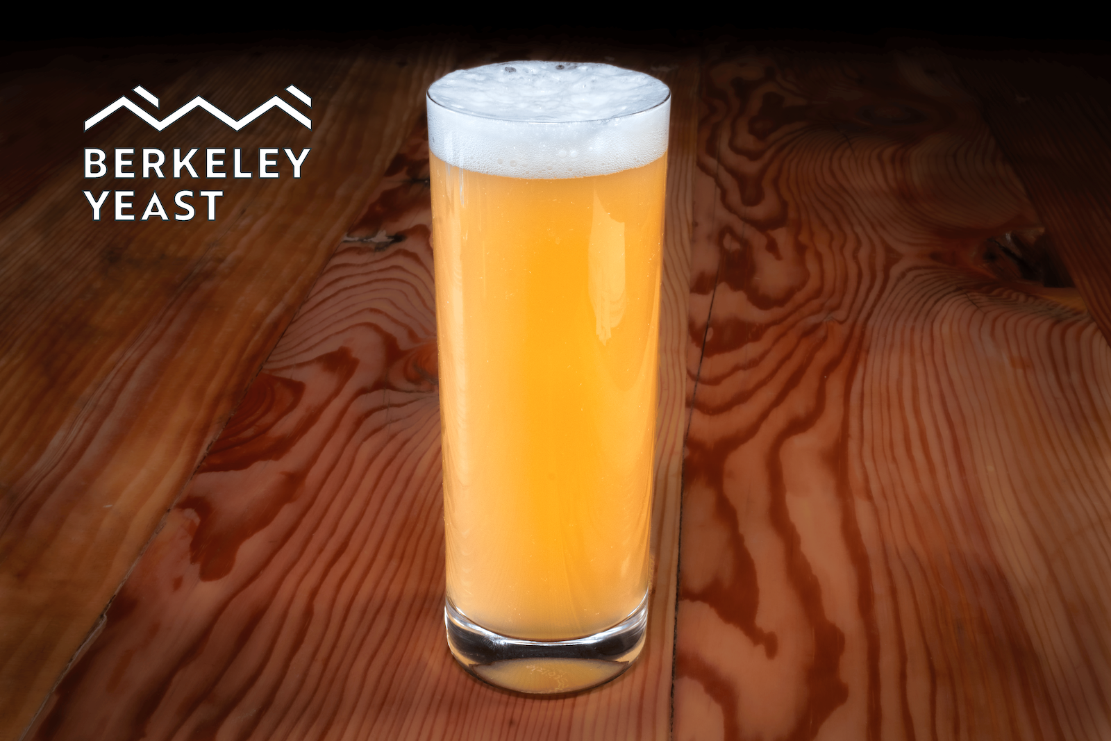 Register to Receive Samples of Tim Sciascia’s DDH Hazy IPA Experiments