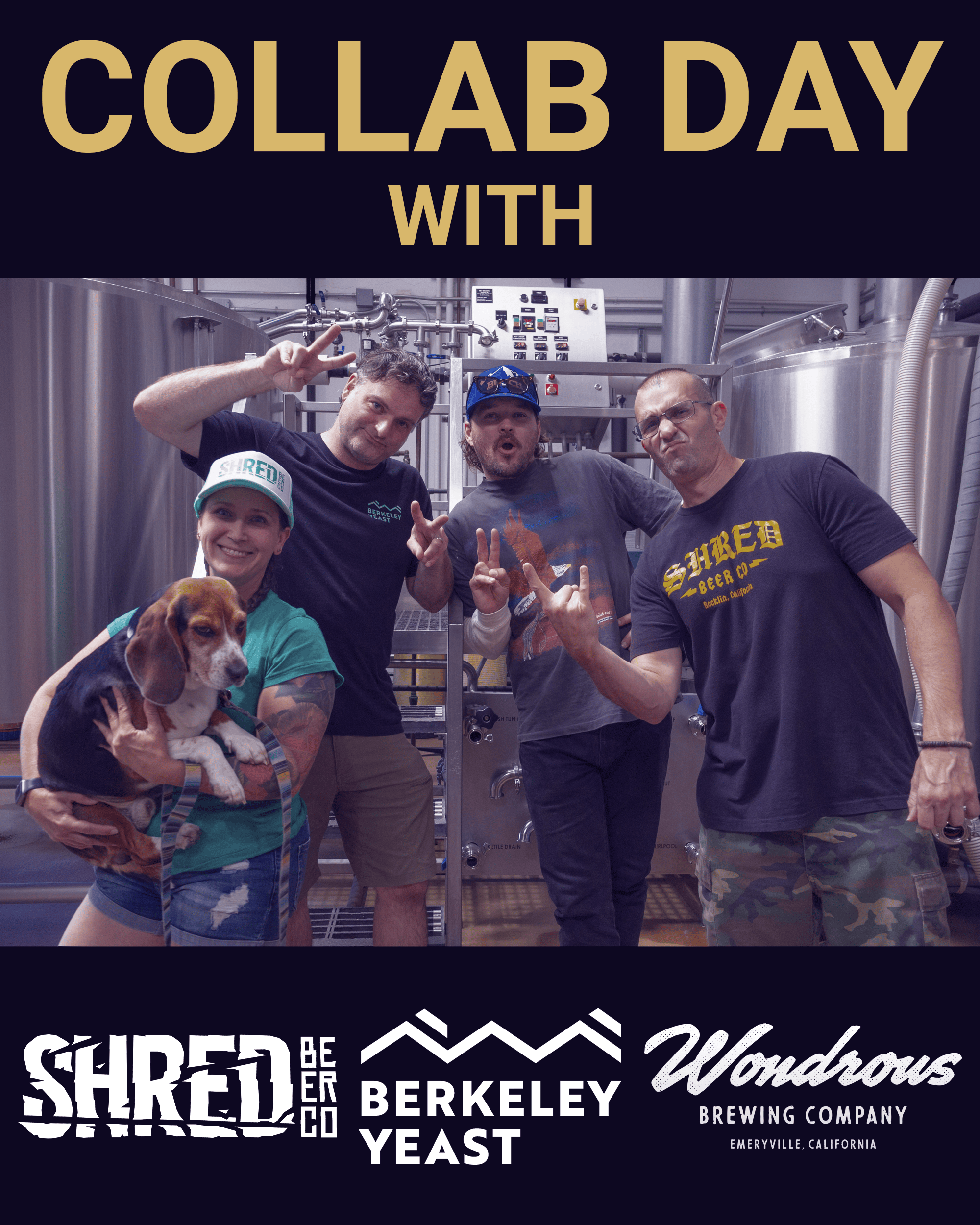 Collab Day: Shred Beer Co., Wondrous Brewing Co. and Berkeley Yeast
