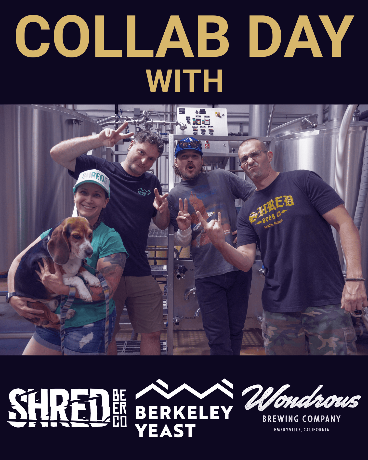 Collab Day: Shred Beer Co., Wondrous Brewing Co. and Berkeley Yeast