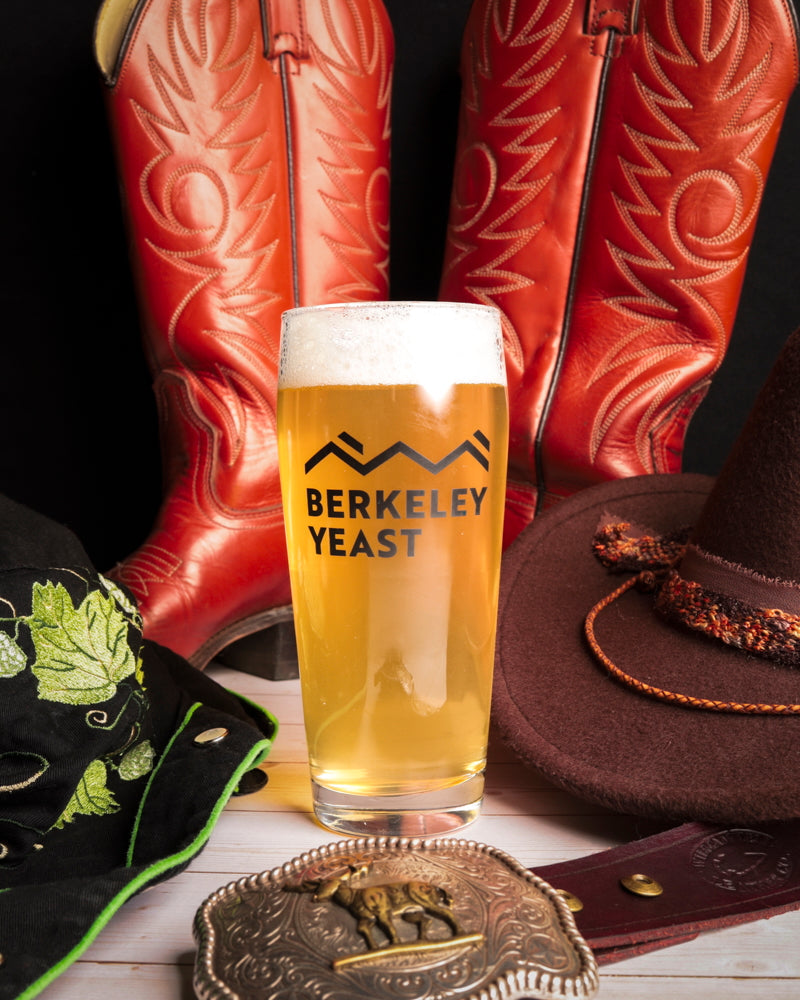 Recipe: Western Playland WC IPA | Bankhead, Bird Creek, Rollertown, So
