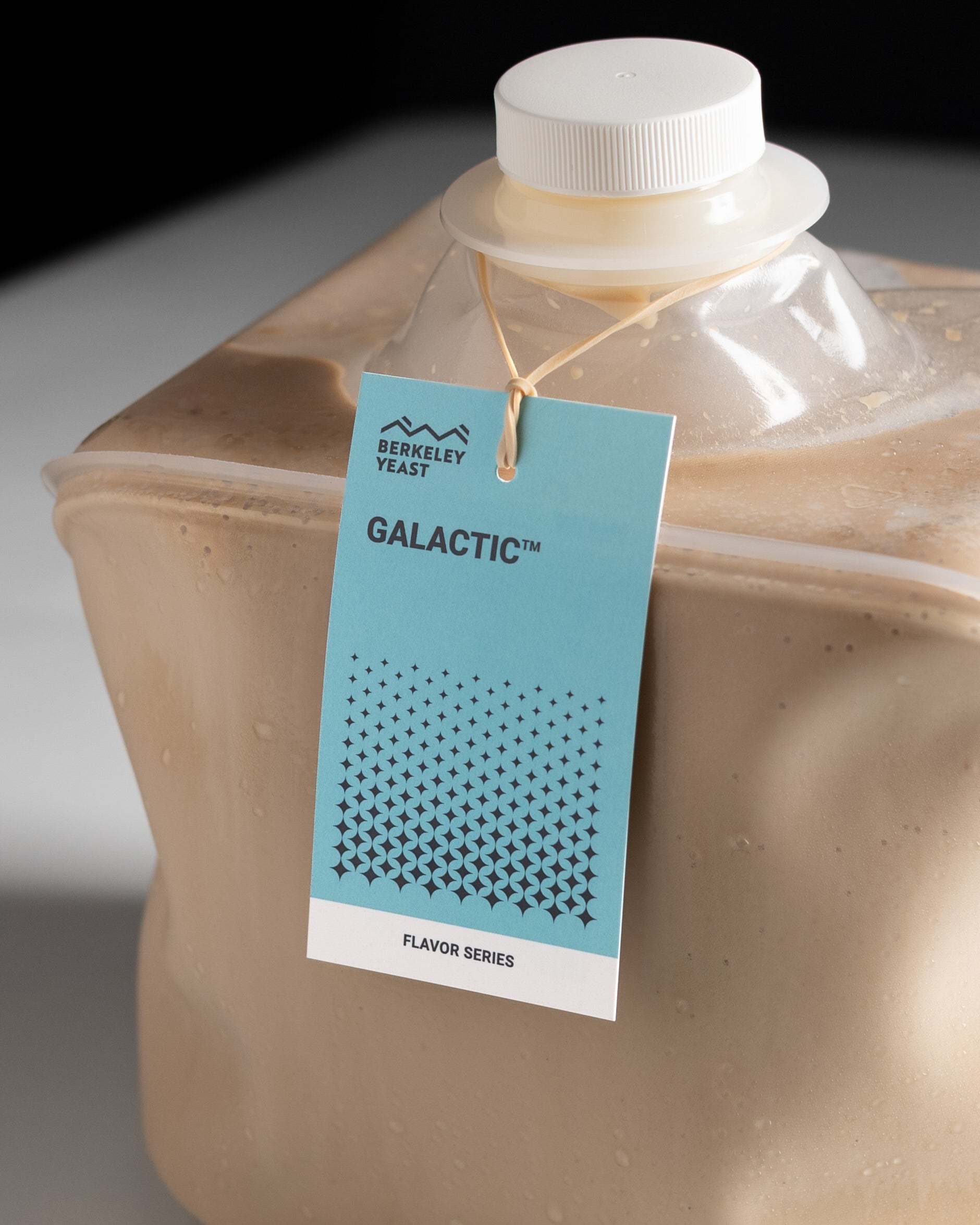 Best Practices: GALACTIC™