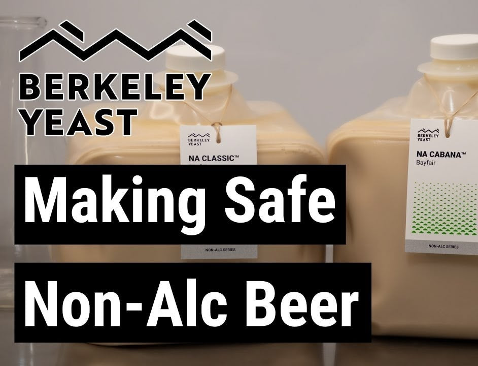 Make Safe Non-Alcoholic Beer by Berkeley Yeast