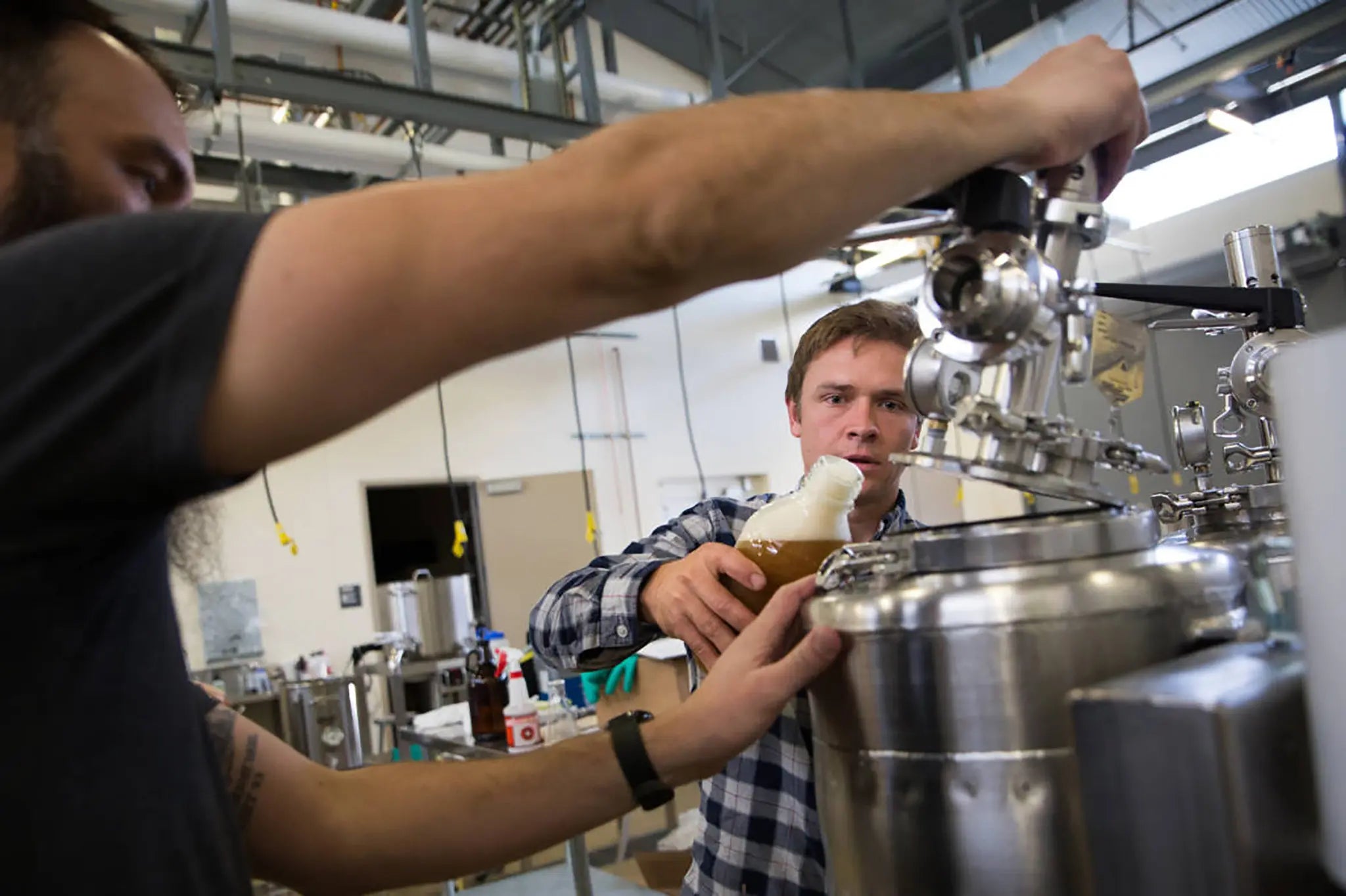 Something’s Brewing in the Lab: Beer Without Hops | New York Times