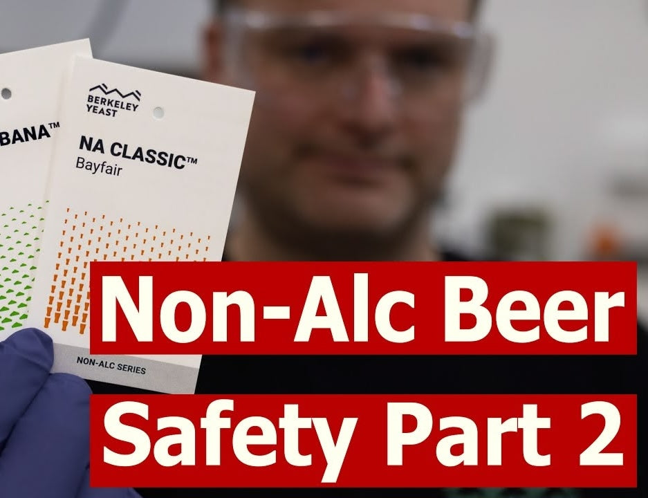 Brewing Safe Non-Alc Beer: Part 2 of 2