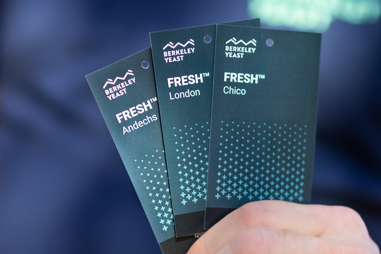 Say Goodbye to Diacetyl with FRESH™ Yeast Strains