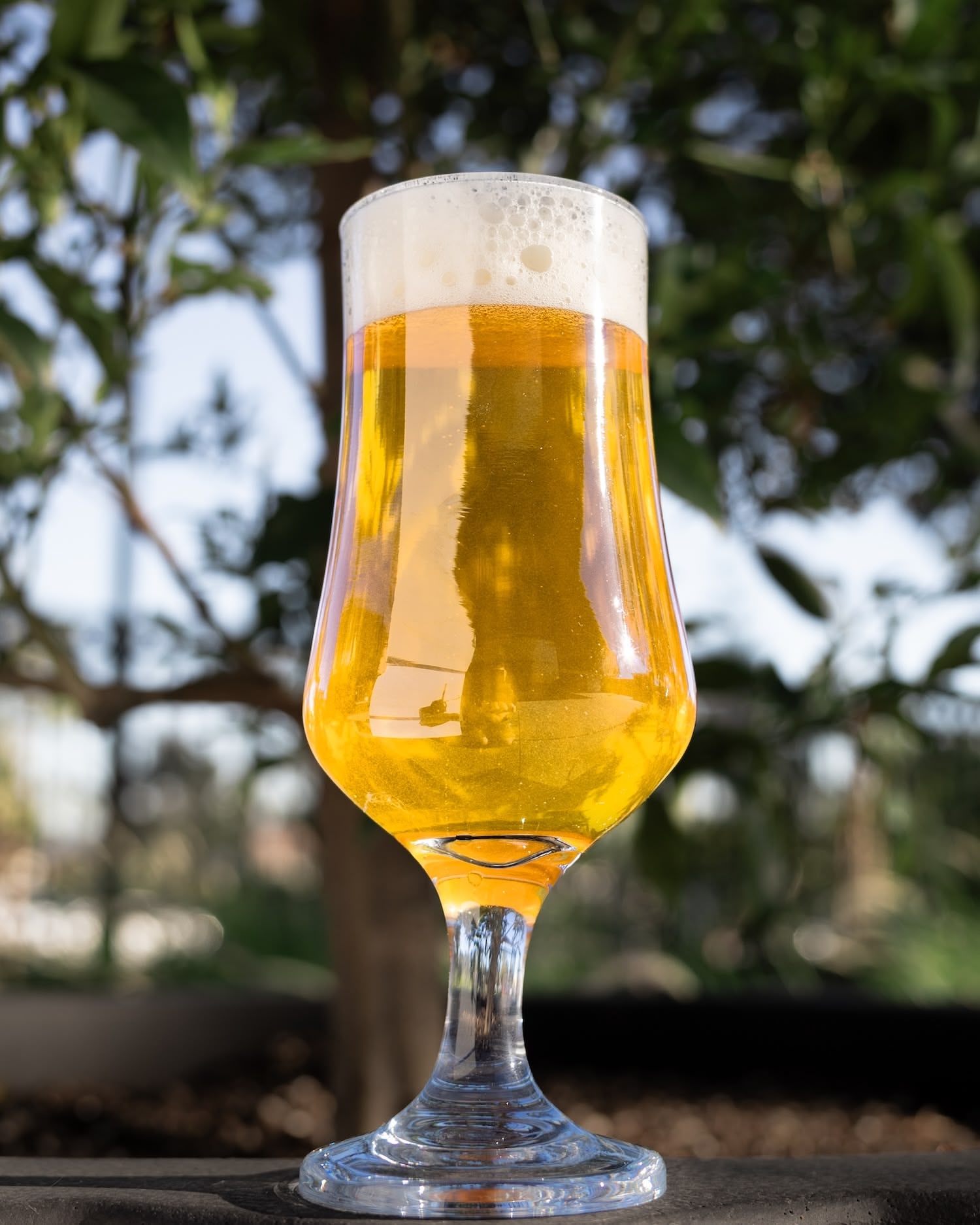 Recipe: Non-Alc POG Wheat Ale