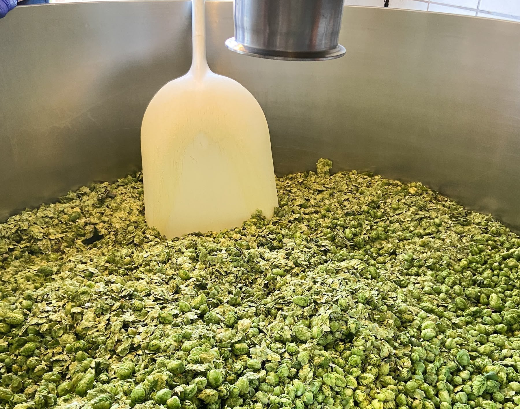 A FRESH™ (Chico) Approach to Fresh-Hop Beers