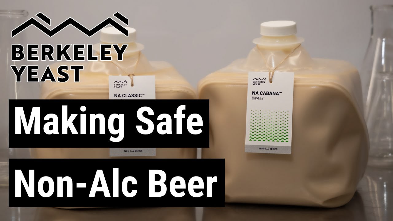 Make Safe Non-Alcoholic Beer by Berkeley Yeast