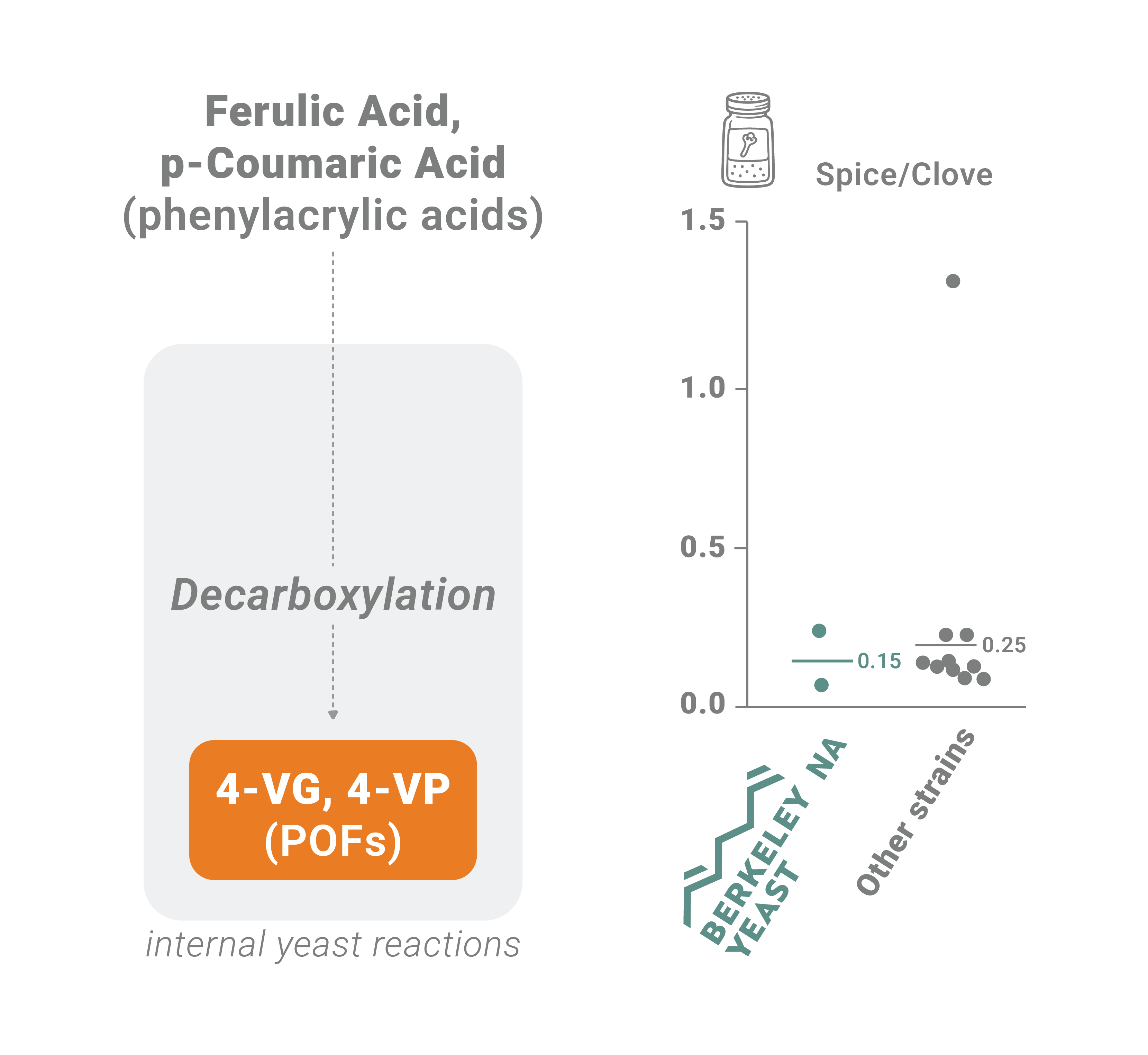 Graph showing phenol production and it's sensory in non alcoholic beer made with maltose-negative yeast. 