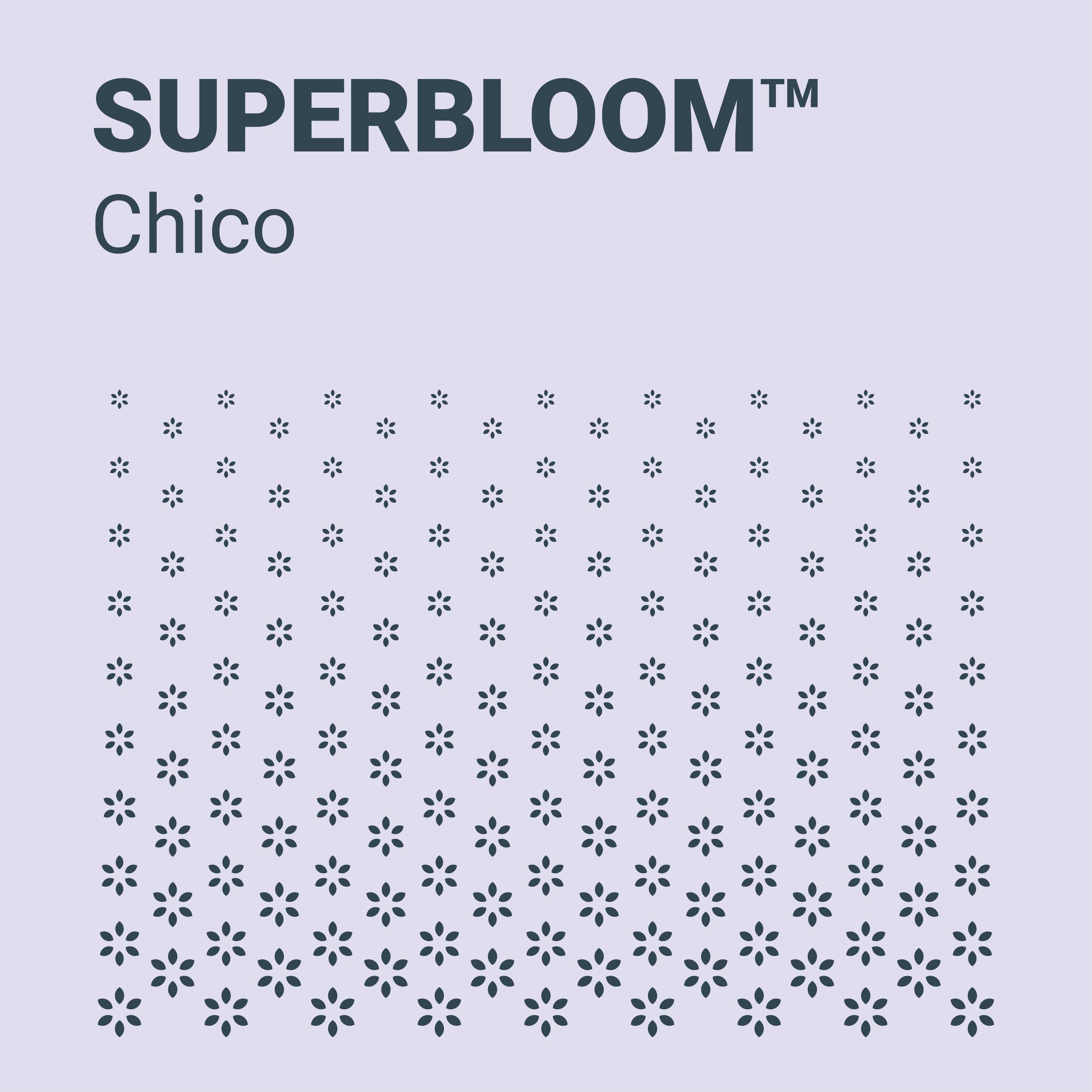 SUPERBLOOM Chico