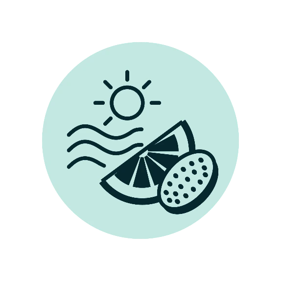 Website extra assets